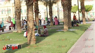فيديو وصور| ضحك ولعب من احتفالات المصريين بـ 