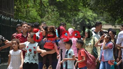 125 صورة ترصد الاحتفالات الضخمة للمصريين في ثاني أيام عيد الفطر 2018