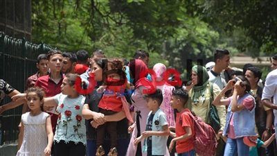 فيديو| المواطنون يحتفلون بـ أخر أيام عيد الفطر 2018 في 