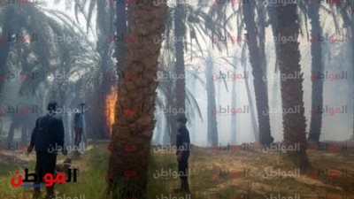 لجنة لحصر خسائر حريق الموشية بواحة الداخلة في الوادي الجديد 