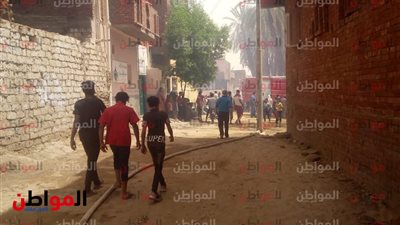 نفوق 3 رؤوس أغنام في حريق الجناين بالوادي الجديد 