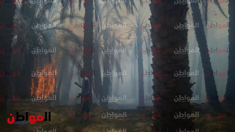 حريق-الوادي الجديد