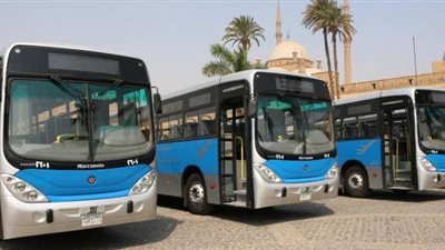 إنفوجراف| تعرف على عقوبة السائق المخالف للتعريفة