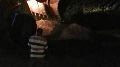 حملة ليلية لإزالة التعديات على الأراضى الزراعية بالحامول