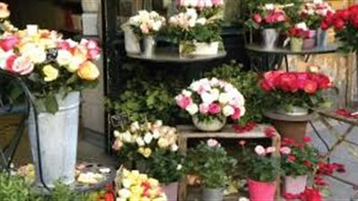 لمحبي الزهور.. تعرف على أسعار الورد في المحلات اليوم