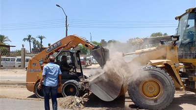 صور| رفع 120 طن مخلفات وقمامة بمركز ومدينة بنى سويف