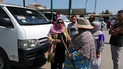 صور| حملة مرورية على الموقف الرئيسى بمدينة جمصة