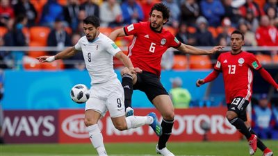  مصر تبحث عن 