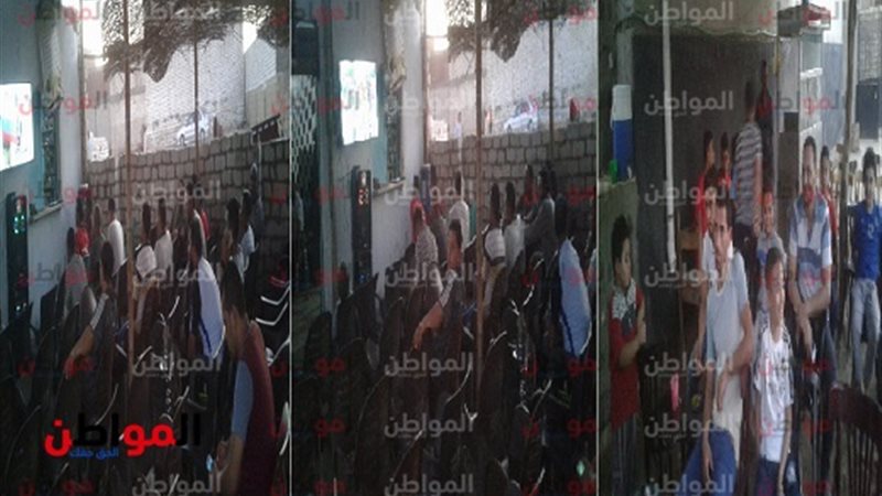 المواطن