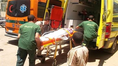 بالأسماء.. إصابة 6 أشخاص في انقلاب سيارة بالوادي الجديد