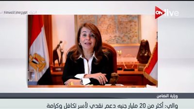 فيديو| غادة والي: 20 مليار جنيه  دعما نقديا لأسر 