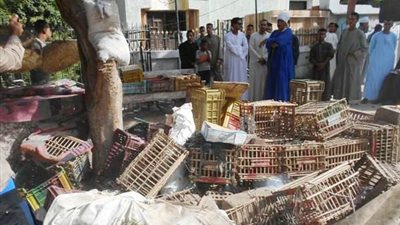 حملات للنظافة ومتابعة انتظام سير العمل بالتعريفة الجديدة في قرى ومركز البلينا