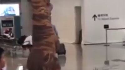 شاهد| رجل يستقبل شقيقته في المطار بـ