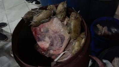 صور| ضبط لحوم ومواد غذائية غير صالحة في إحدى مطاعم المنصورة