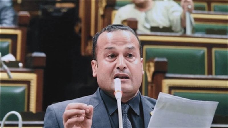 محمد عمارة عضو مجلس