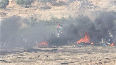 عاجل| اندلاع حريق في مستوطنة 