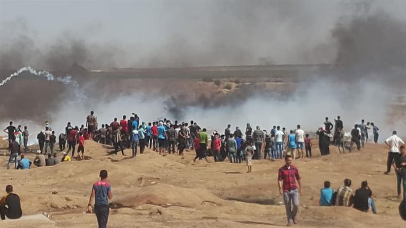قطاع غزة 