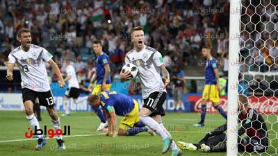فيديو وصور.. رويس يتعادل لـ
