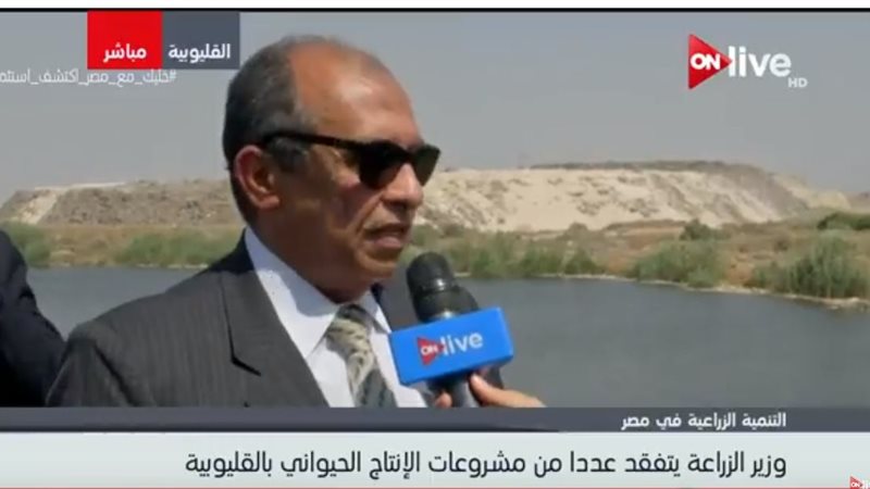 عز الدين أبو ستيت
