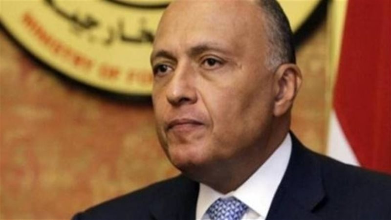 سامح شكري وزير الخارجية