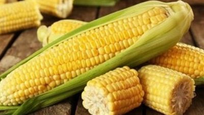 تعرف على أسعار السلع الحيوية اليوم