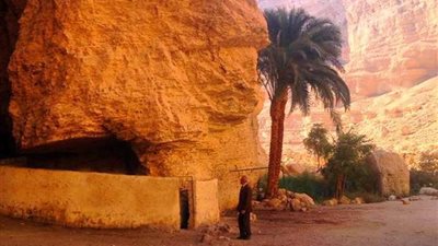 فيديو وصور.. ما لا عين رأت ولا أذن سمعت.. 