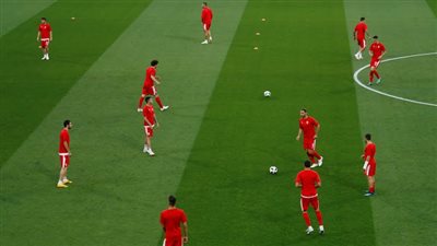 ميتروفيتش يقود هجوم صربيا أمام البرازيل