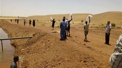 صور.. إطلاق زريعة أول مزرعة سمكية بـ