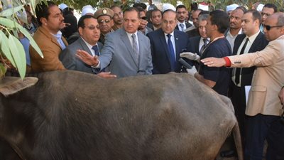 صور.. إقامة 8 قوافل طبية بيطرية بسوهاج
