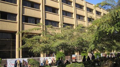 جامعة عين شمس تبدأ احتفالية 