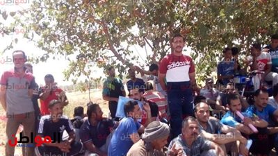 صور.. زحام شديد على تقديمات مشروعات تسمين 