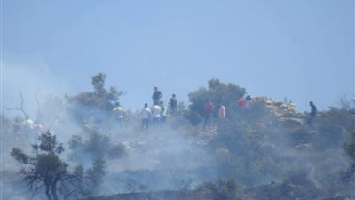 مستوطنون يحرقون حقول الزيتون.. والفلسطينيون يردون بالطائرات الورقية