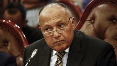 عاجل.. شكري يؤكد لنظيره الليبي ضرورة تبني حل للأزمة الليبية