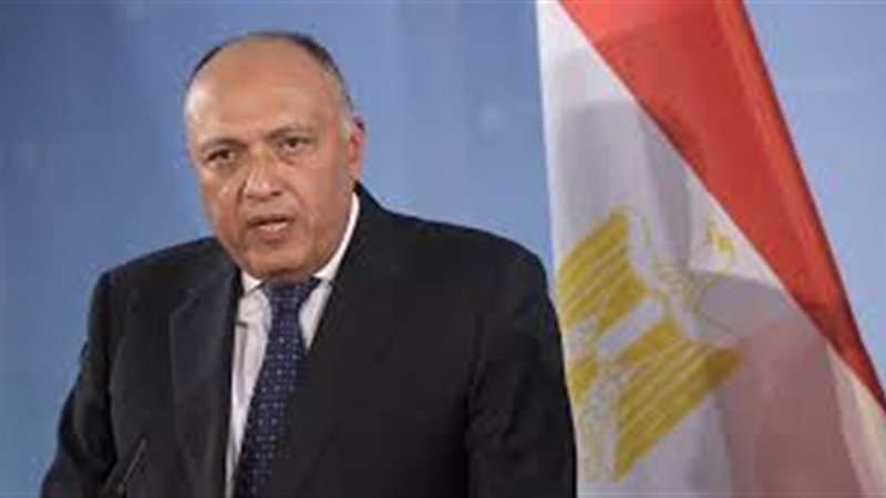 وزير الخارجية المصري