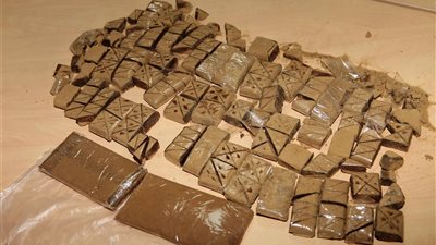  أمن القليوبية يتمكن من ضبط عاطلين وبحوزتهما 