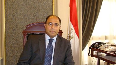 المتحدث باسم الخارجية: ثورة 30 يونيو أعادت مصر لنا مرفوعة الرأس