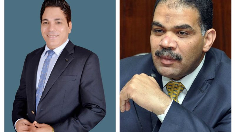 رئيس المنظمة ونائبها