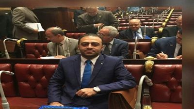 النائب محمد خليفة: ثورة يونيو صححت المسار ومجلس النواب عدل قانون صندوق أسر الشهداء