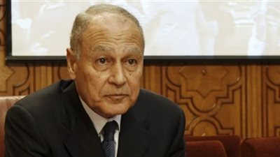 أمين الدول العربية يتضامن مع مالي لحل مشكلة الإرهاب 