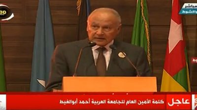 أبو الغيط: مصر تدعم جميع الأطراف في جنوب السودان 
