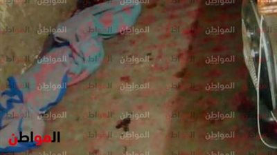 صور| أسرة عم محمد يستغيثون بـ محافظ الدقهلية: نعيش في حجرة 4 متر بـ أدوات بدائية