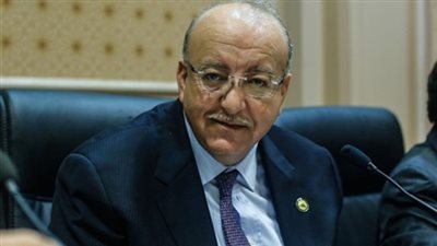 علاء والي: البرلمان ساهم في استعادة مكانة مصر الدولية بعد ثورة 30 يونيو