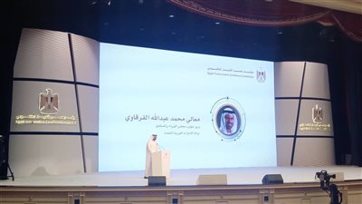 القرقاوي: علاقة مصر والإمارات من أجل بناء منطقة الشرق الأوسط