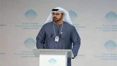 وزير شئون مجلس الوزراء الإماراتي: تعاون مصر والإمارات سينعكس إيجابيا على المنطقة ككل