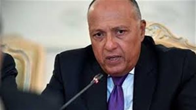 عاجل| شكري يصل إلى برلين لبدء جولته الأوروبية 