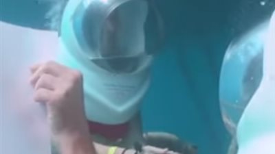 فيديو| شاب يفاجئ حبيبته بطلب يدها أثناء 