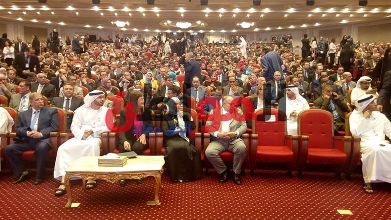 مصر للتميز الحكومى