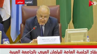 فيديو| أبو الغيط: أمتنا العربية تواجه أزمات ضاغطة وخطيرة 