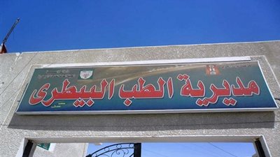 الوادي الجديد تعلن خلو من الجلد العقدي بـ