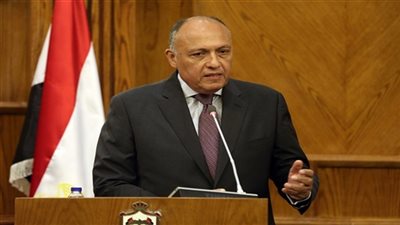 وزير الخارجية الألماني يؤكد دعم بلاده لمصر في جهودها لمكافحة الإرهاب